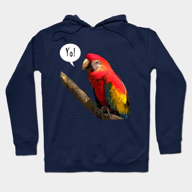 Parrot Bird Hoodie by asaiphoto